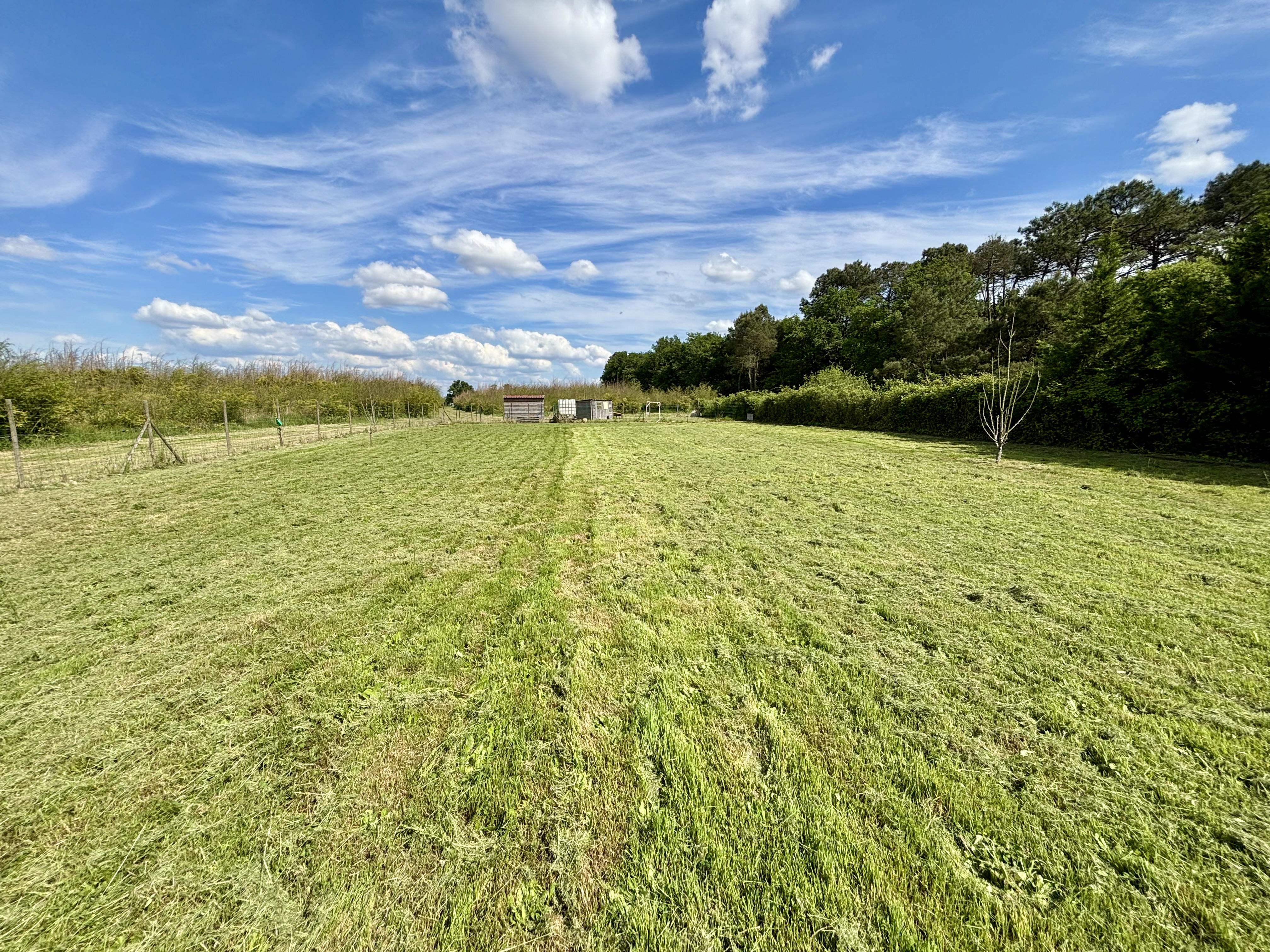 Maison avec dépendance - 6 pièces - 2546 m² - Auros