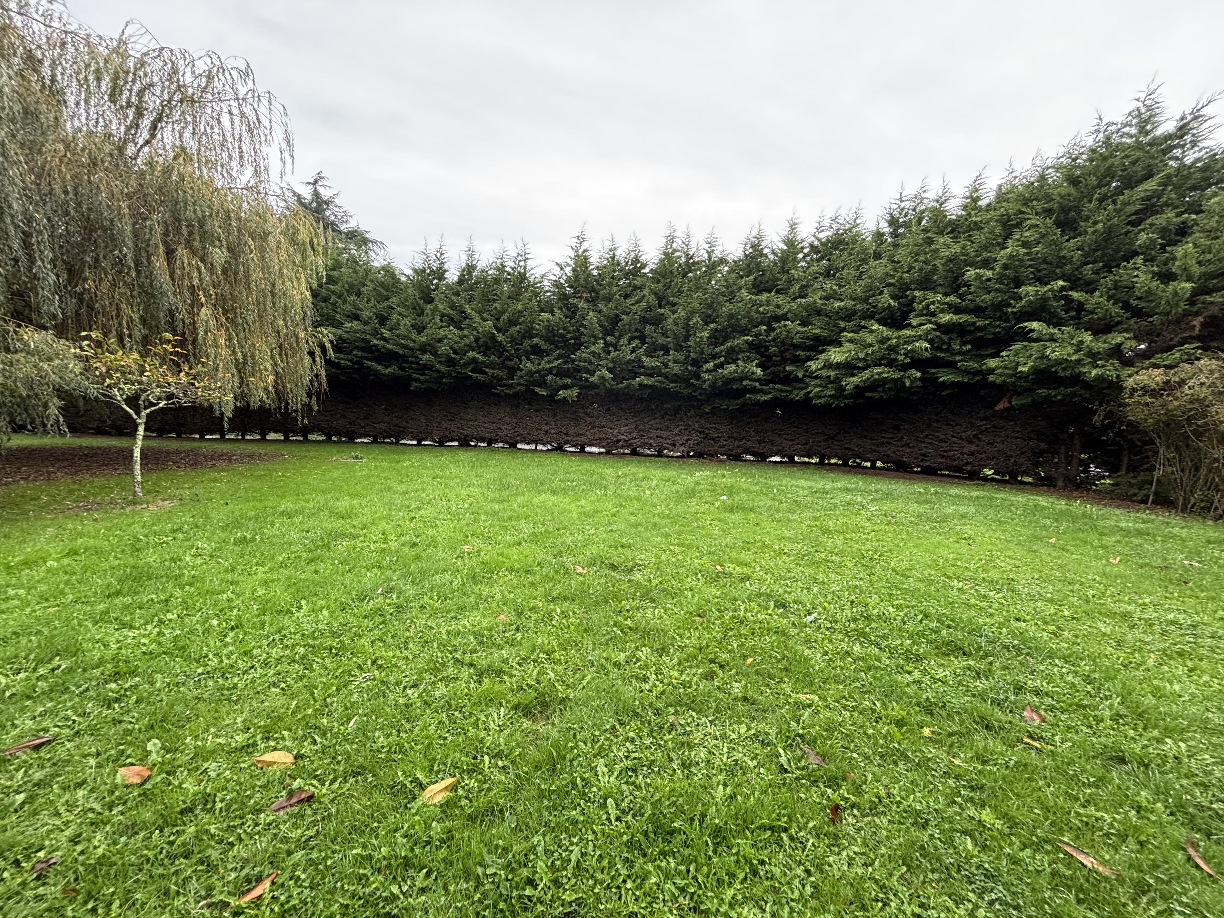 Maison - 5 pièces - 16770 m² - Pugnac