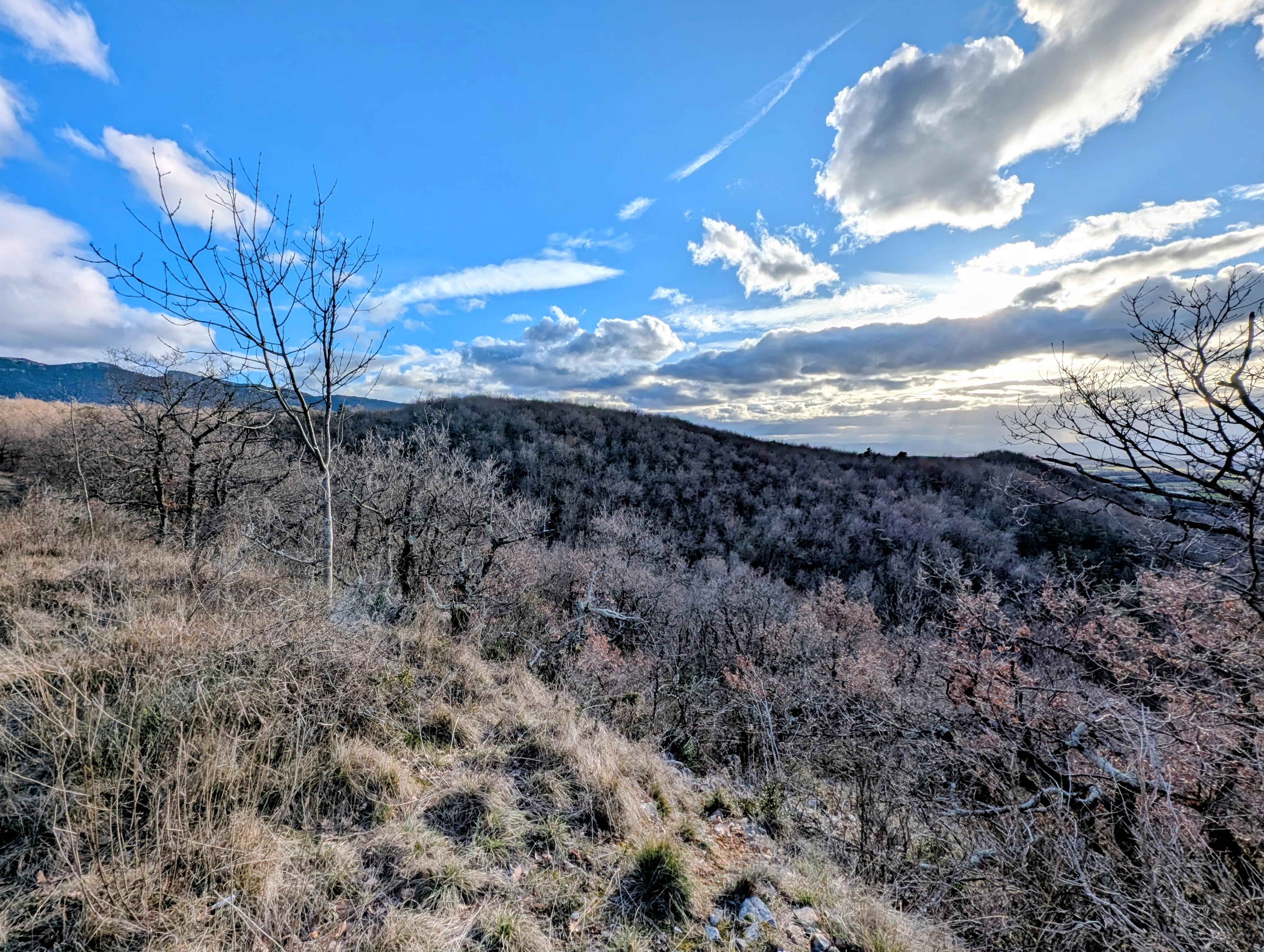 Terrain agricole - 46750 m² - Saint-Vincent-la-Commanderie