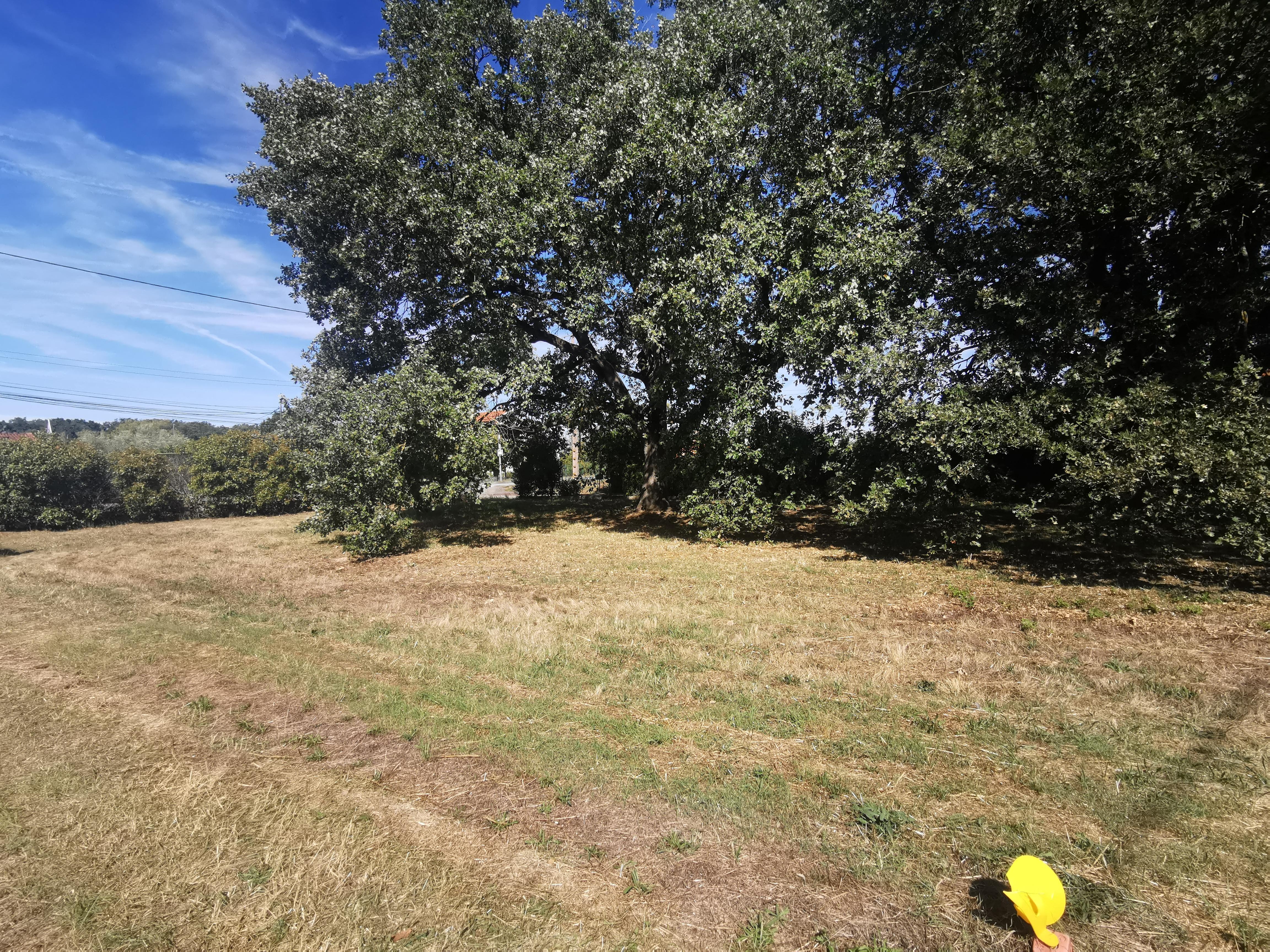 Terrain constructible - 530 m² - Aussonne
