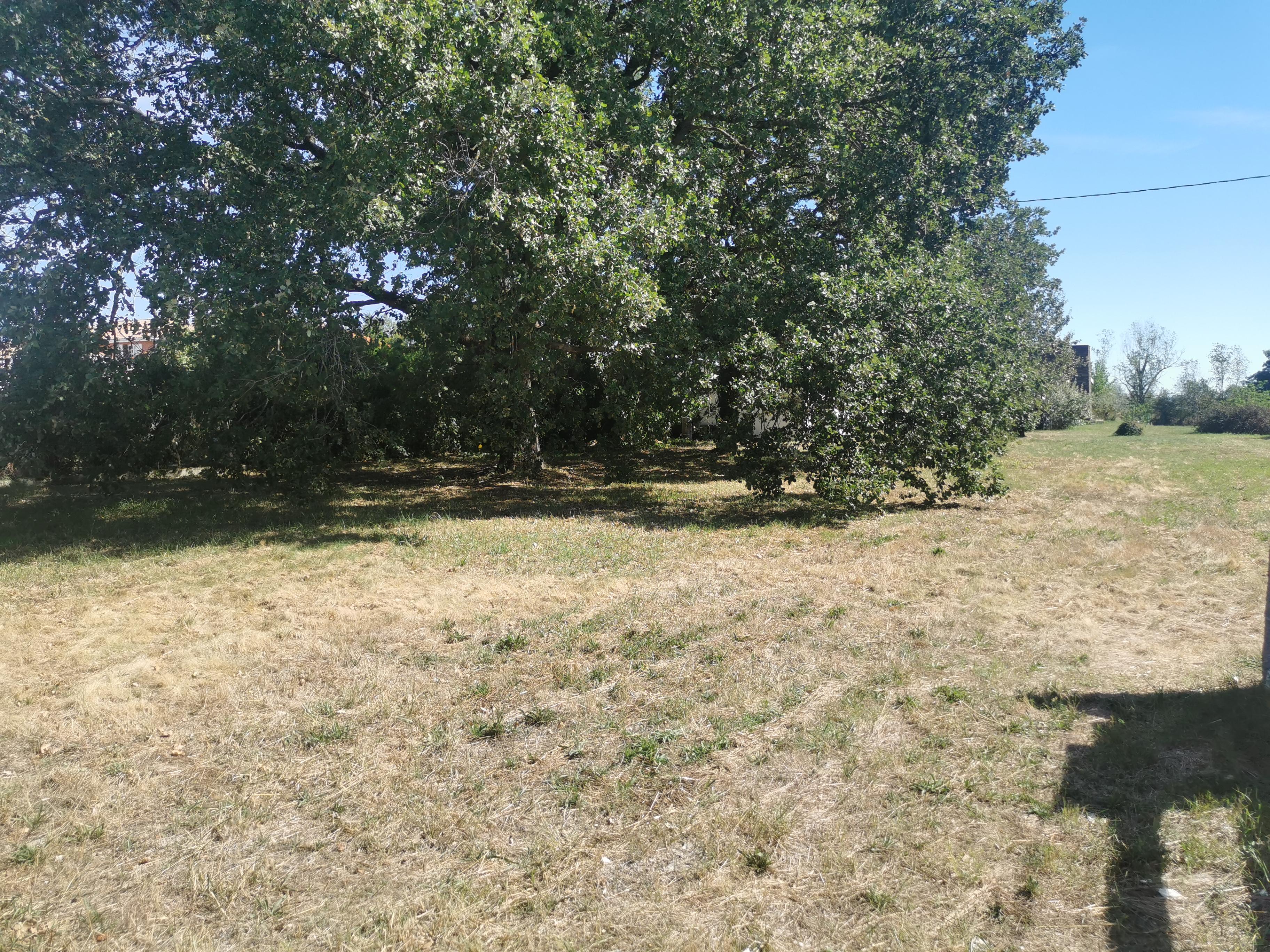 Terrain constructible - 1300 m² - Aussonne