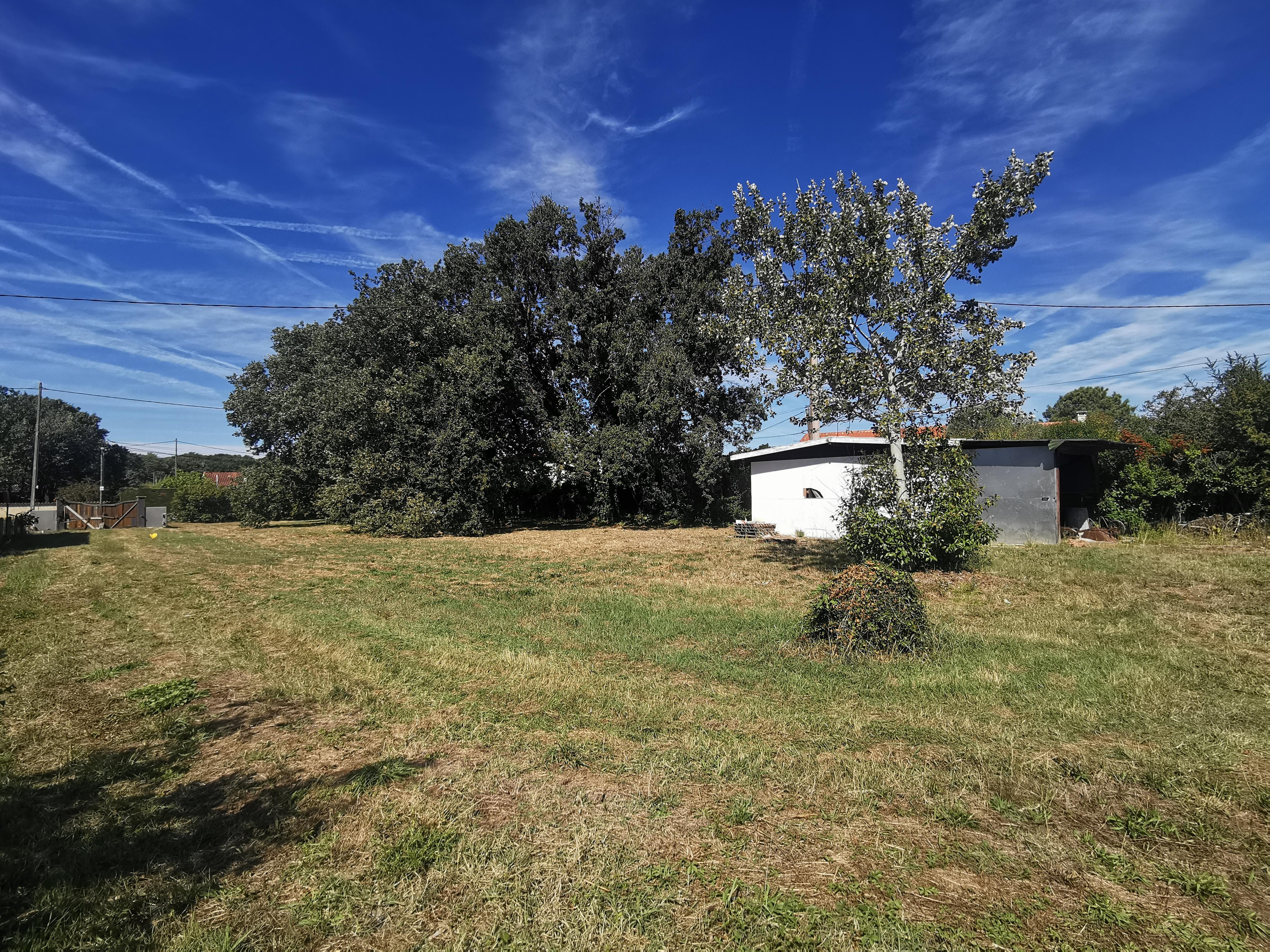 Terrain constructible - 770 m² - Aussonne