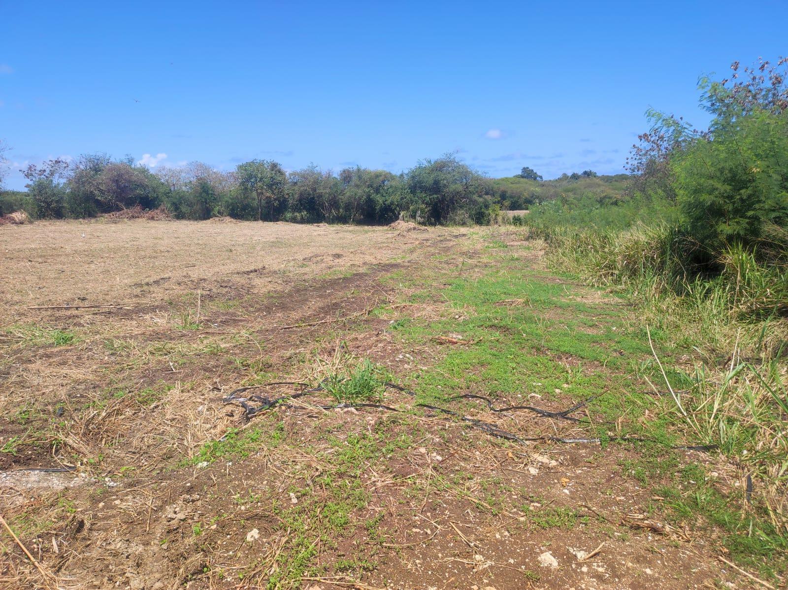 Terrain 2154 m² · à Saint-François · 2 154 m² · 218 000 €
