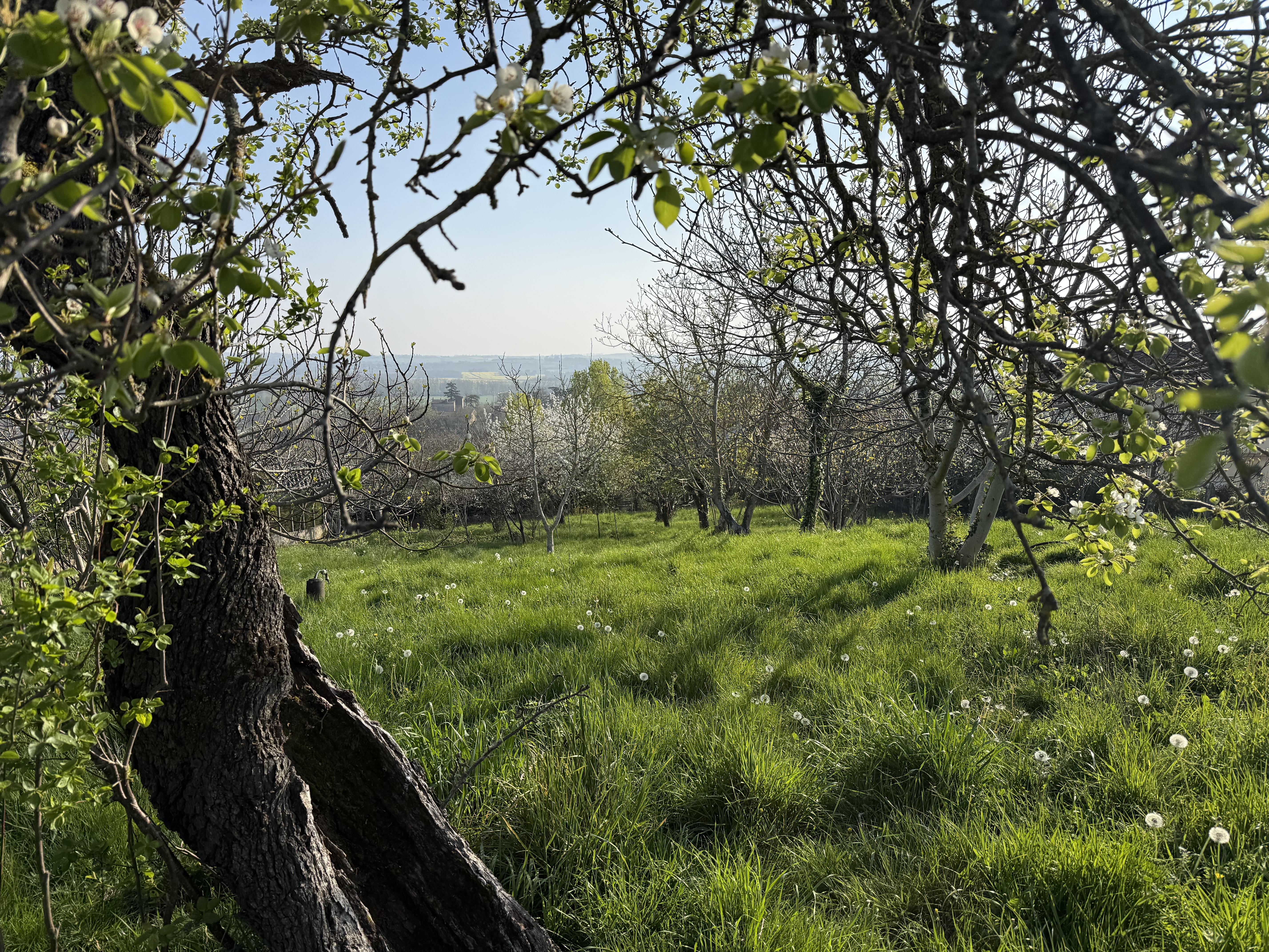 Terrain constructible - 1500 m² - Deyme