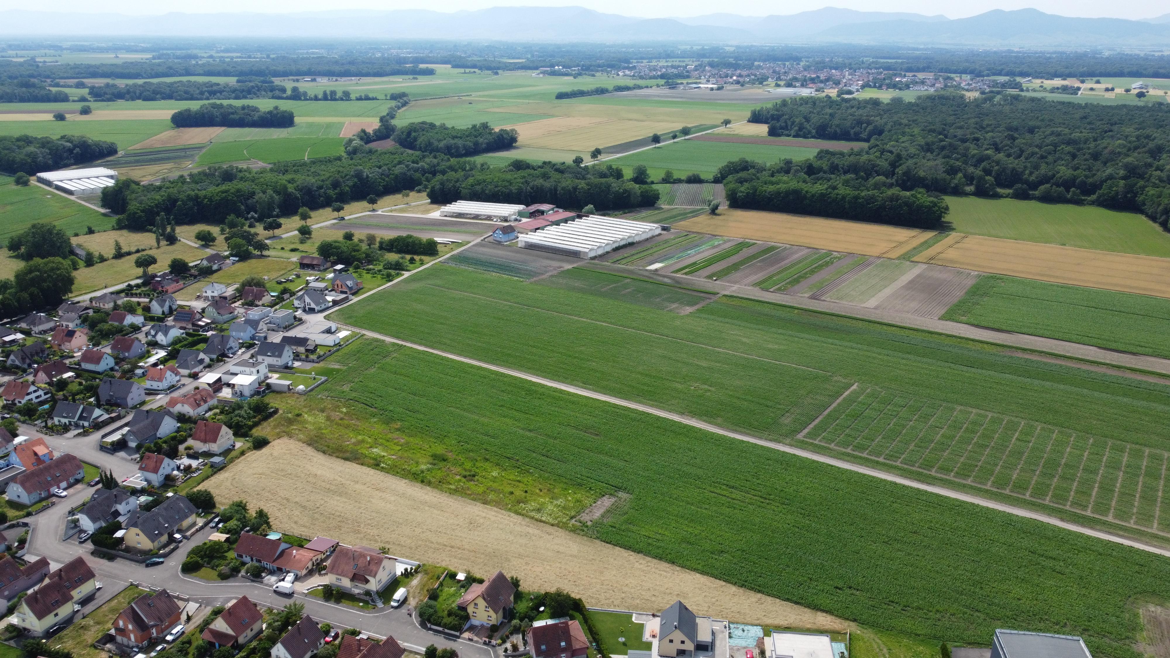 Terrain 569 m² · à Bindernheim · 569 m² · 104 468 €
