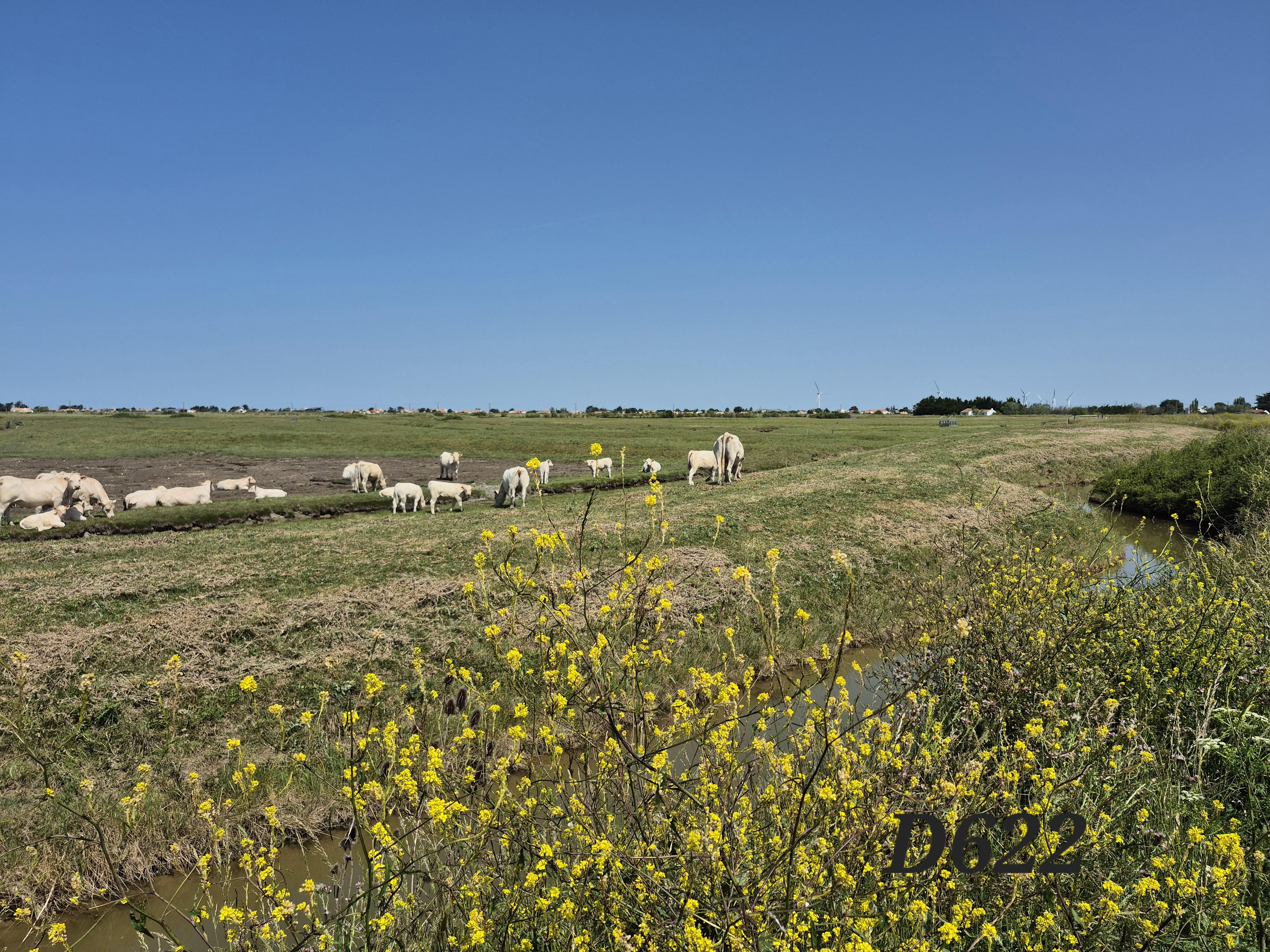 Terrain 2535 m² · à Beauvoir-sur-Mer · 2 535 m² · 12 500 €