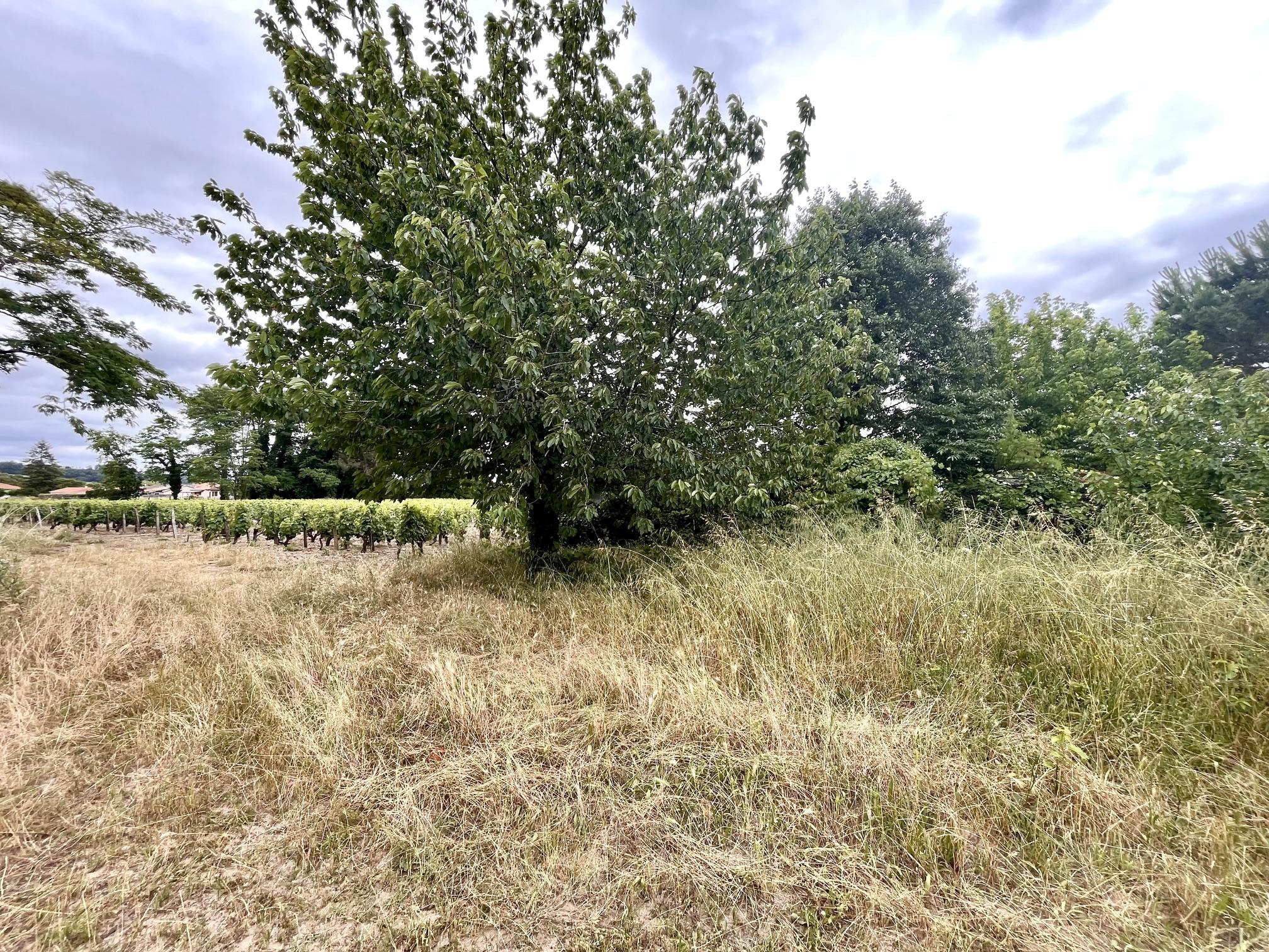 Maison 4 pièces 383 m² · à Preignac · 383 m² · 148 500 €