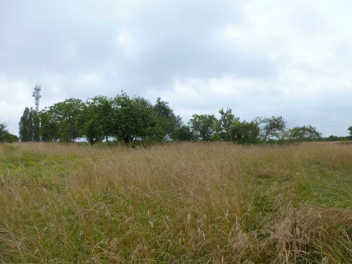 Terrain 793 m² · à Arrigny · 793 m² · 24 000 €