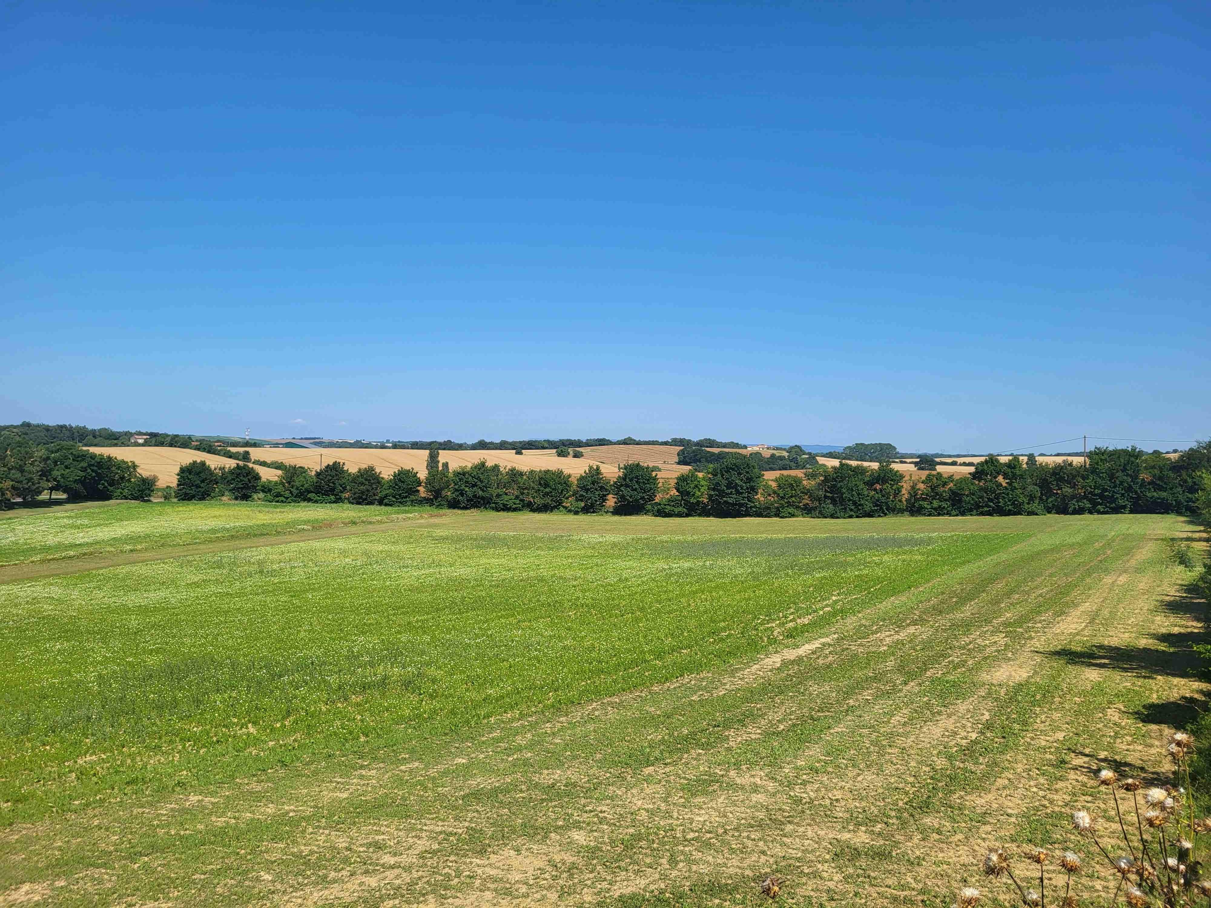 Terrain constructible - 652 m² - Villefranche-de-Lauragais