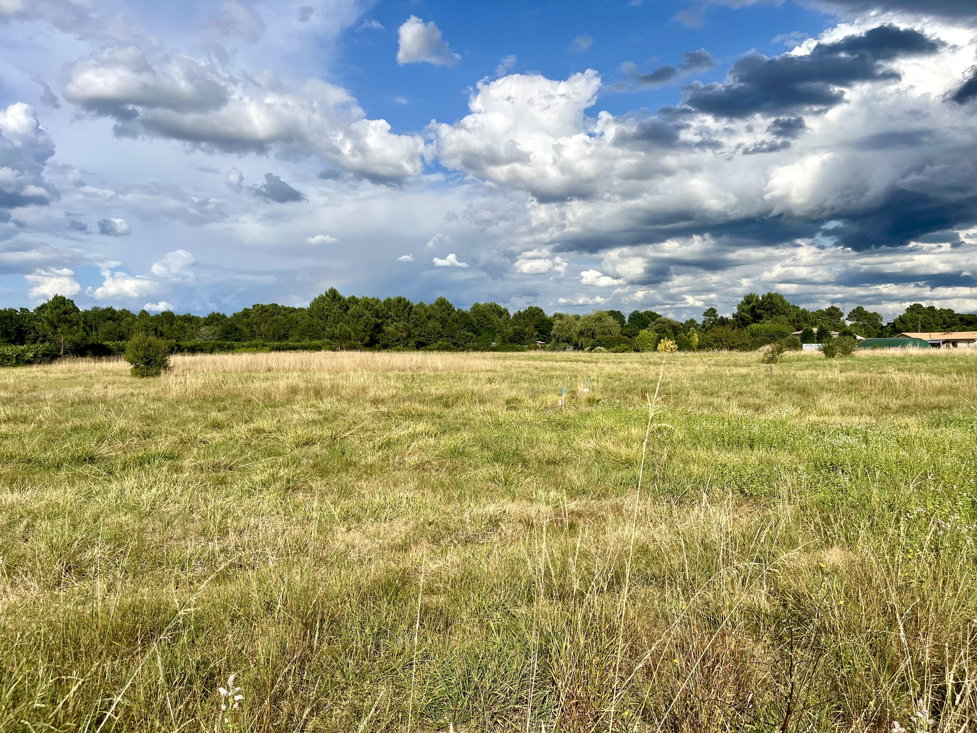 Terrain 1605 m² · à Bazas · 1 605 m² · 66 500 €