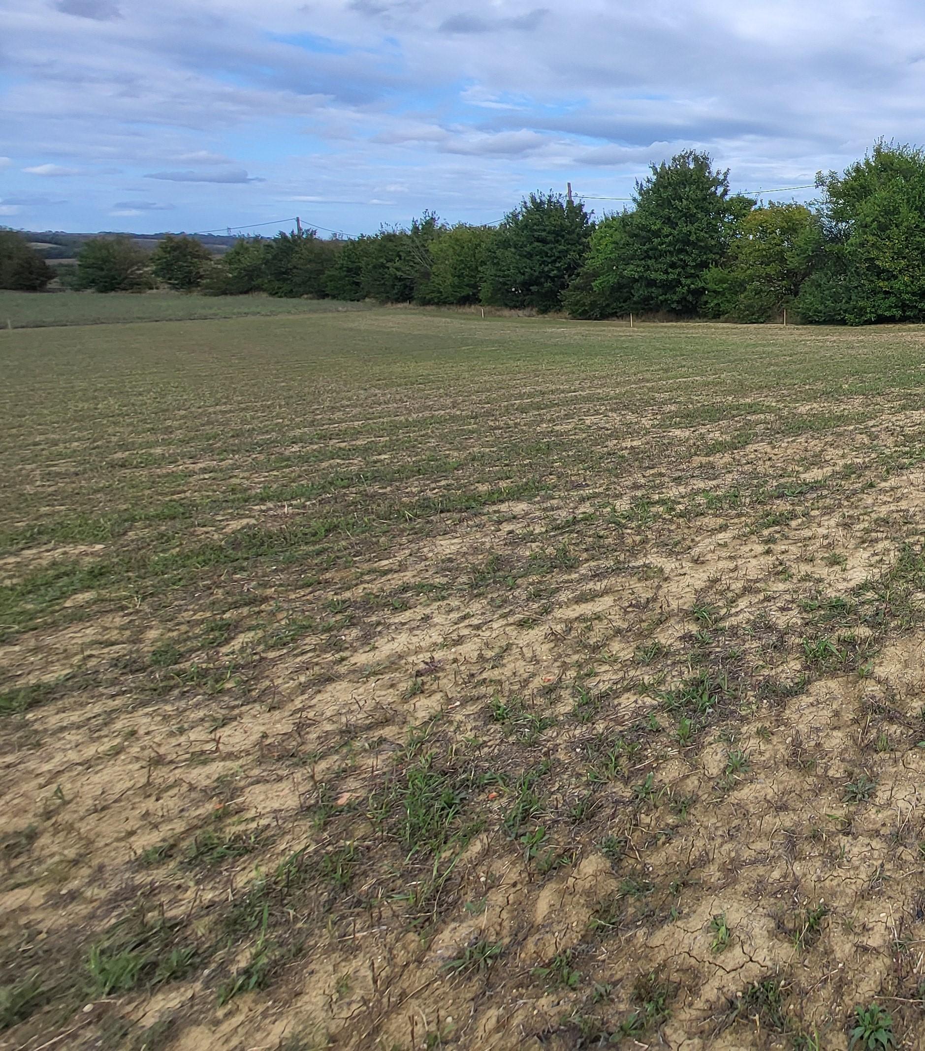 Terrain constructible - 634 m² - Caraman