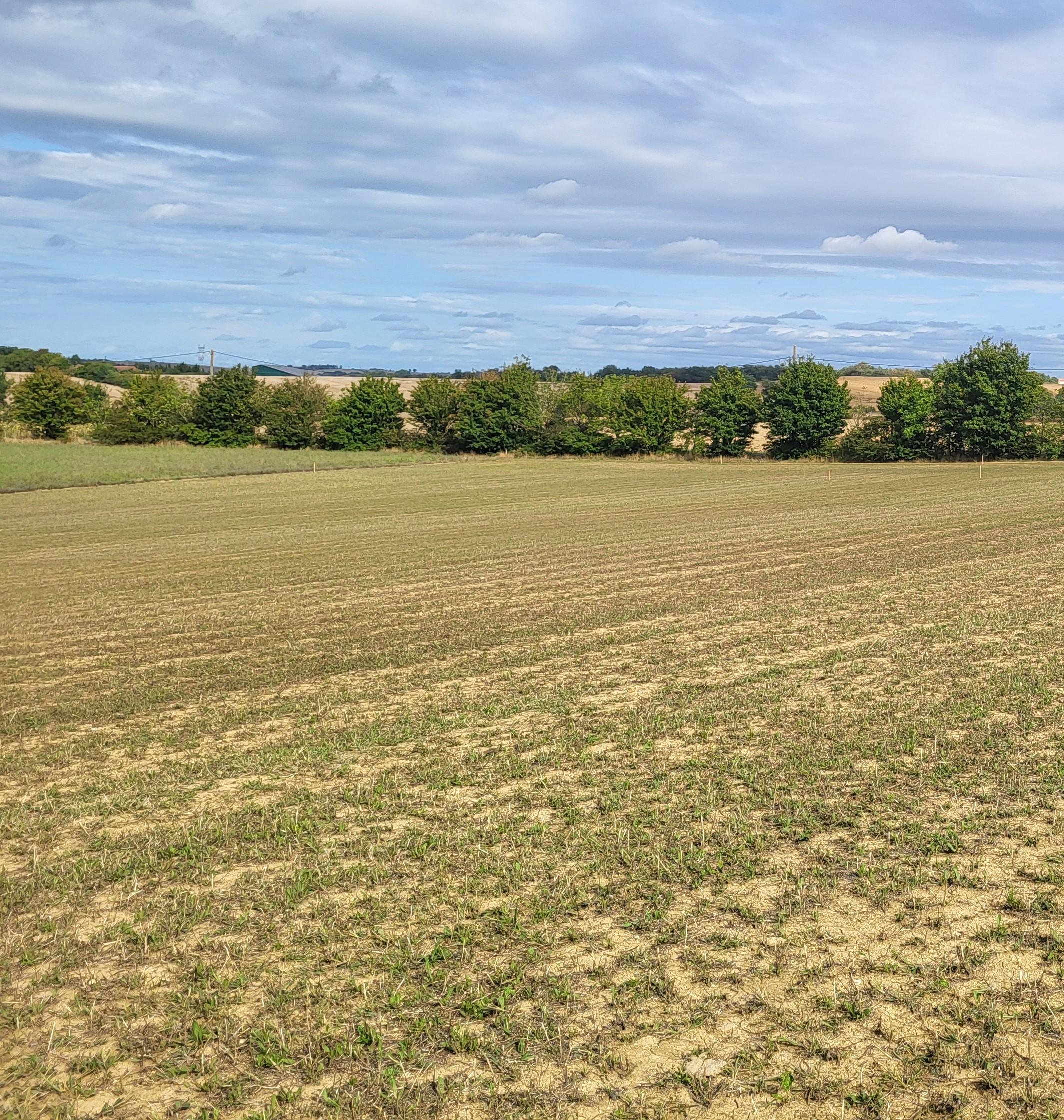Terrain 608 m² · à Villefranche-de-Lauragais · 608 m² · 82 000 €