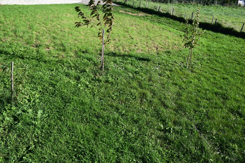 Photo mobile 1