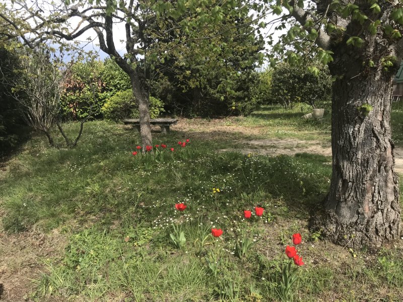 Photo mobile 1