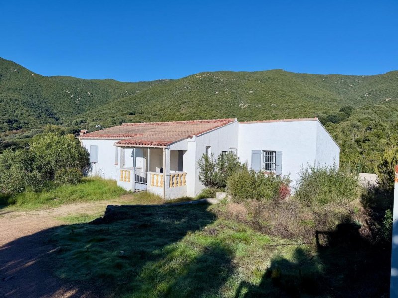 Maison à Cognocoli-Monticchi (20123)