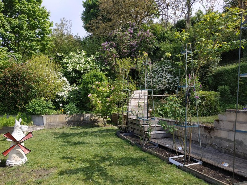 Photo 13