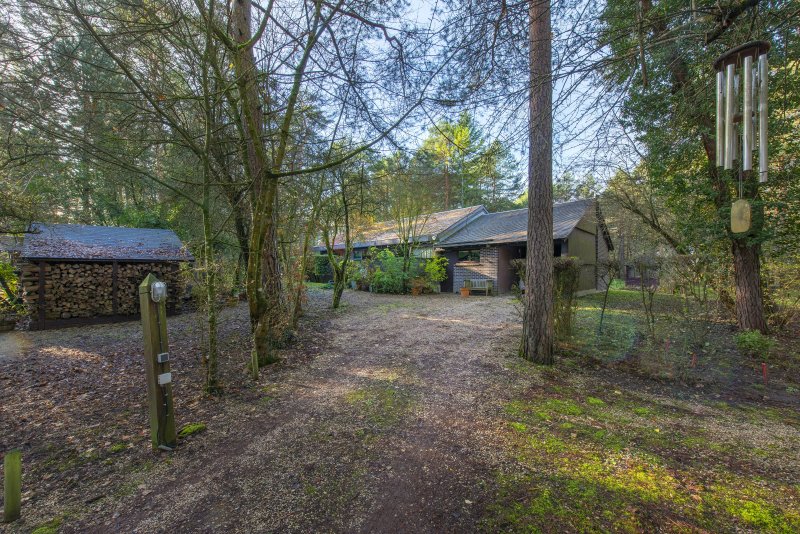 Maison à Larchant (77760) - Photo 5