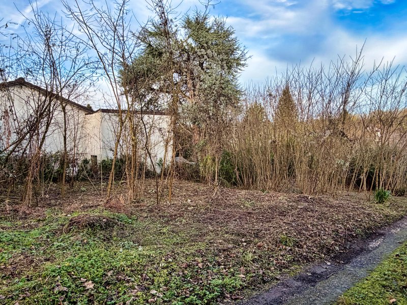 Maison à Saint-Pierre-lès-Nemours (77140) - Photo 3