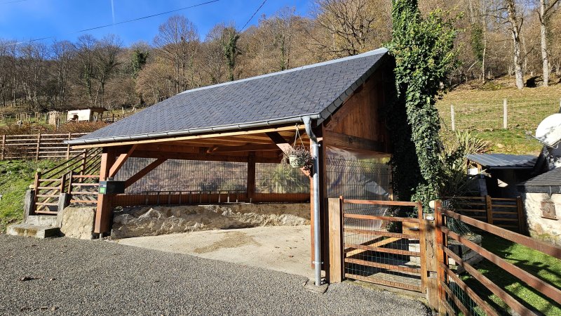 Photo 15