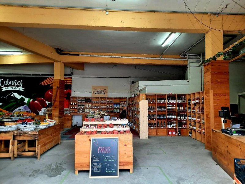 Photo 12