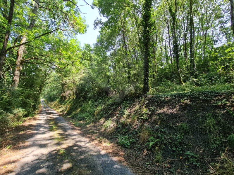 Photo mobile 1