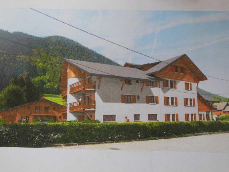 Photo 7