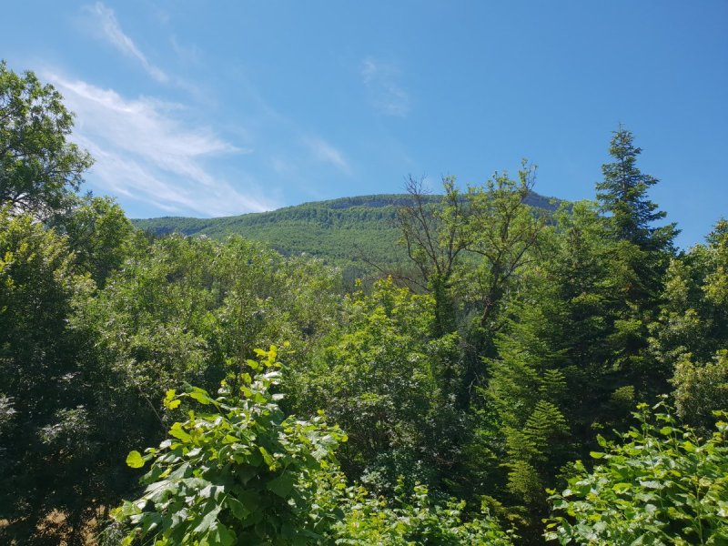 Photo mobile 1