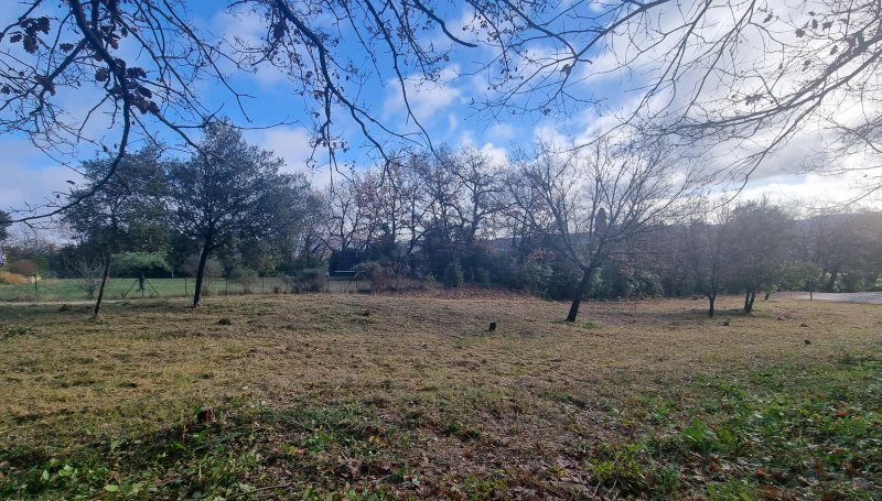 Photo mobile 1
