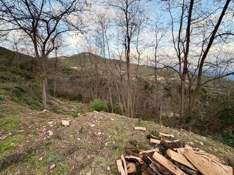 Photo mobile 1