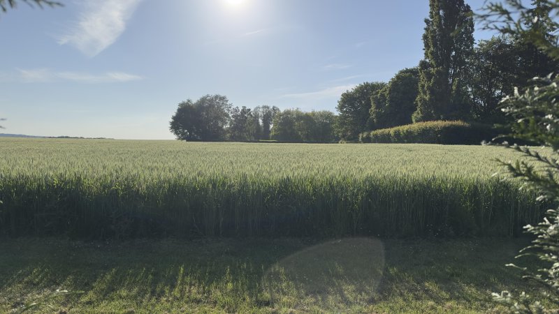 Maison et grand terrain à Osmoy (78910) - Photo 3