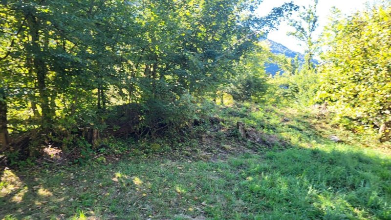 Photo mobile 1