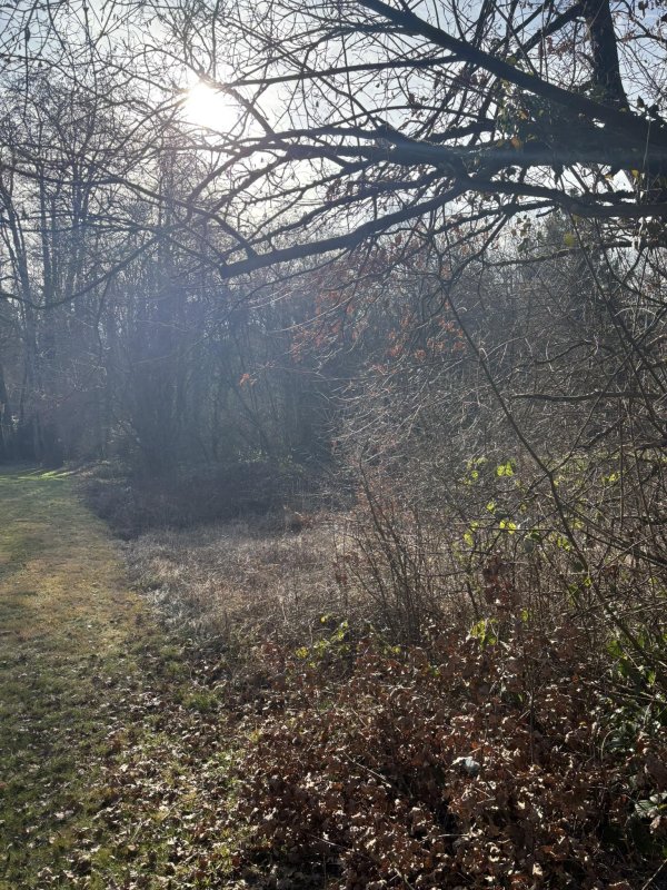 Photo mobile 1