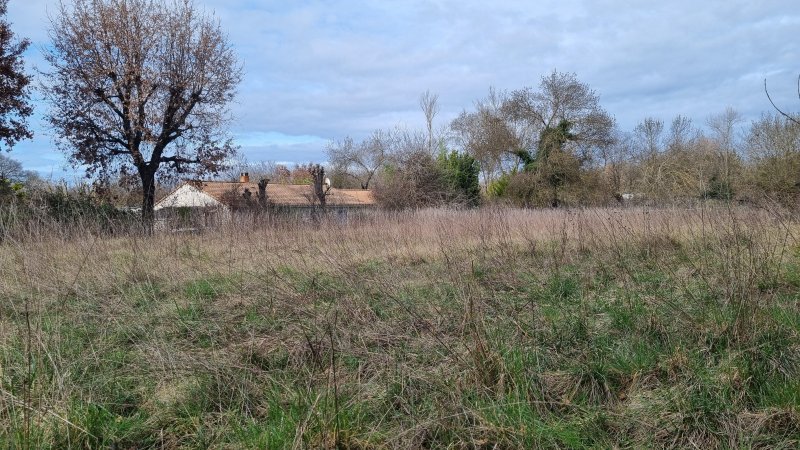 Photo mobile 1