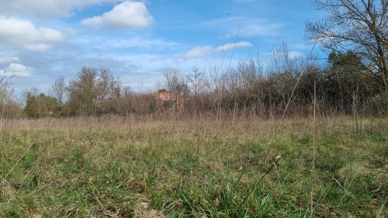 Photo mobile 1
