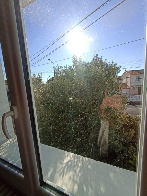 Photo mobile 1
