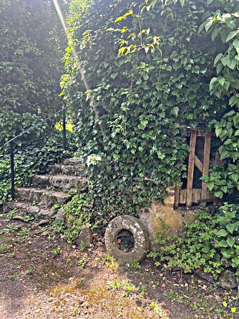 Photo mobile 1