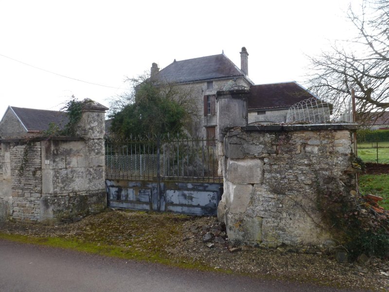 Photo 11