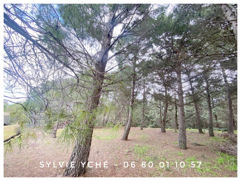 Photo mobile 1