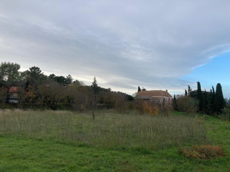 Photo mobile 1