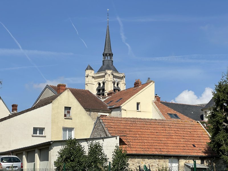 Photo 5