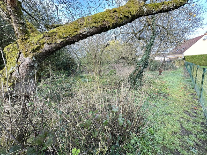 Photo mobile 1
