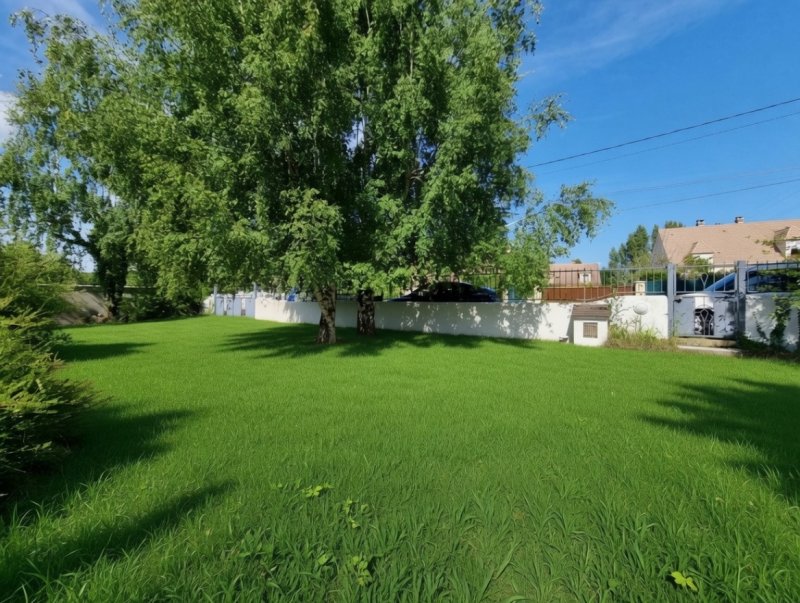 Maison à Saint-Pierre-lès-Nemours (77140) - Photo 4