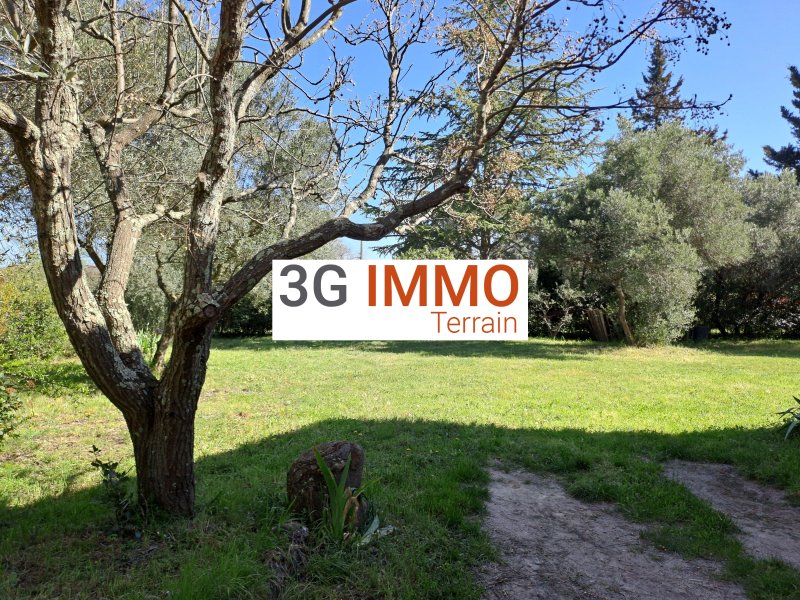 Photo mobile 1