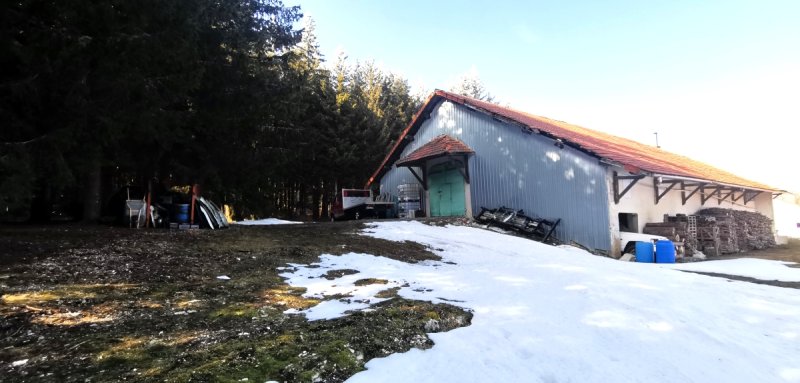 Photo 8