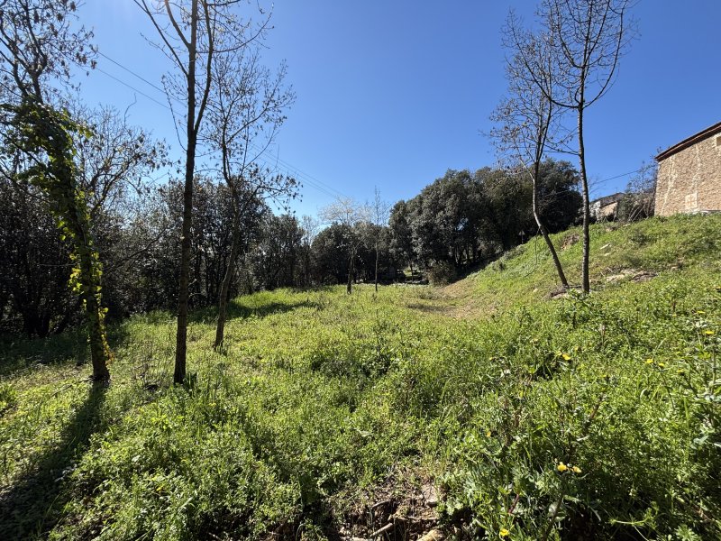 Photo mobile 1