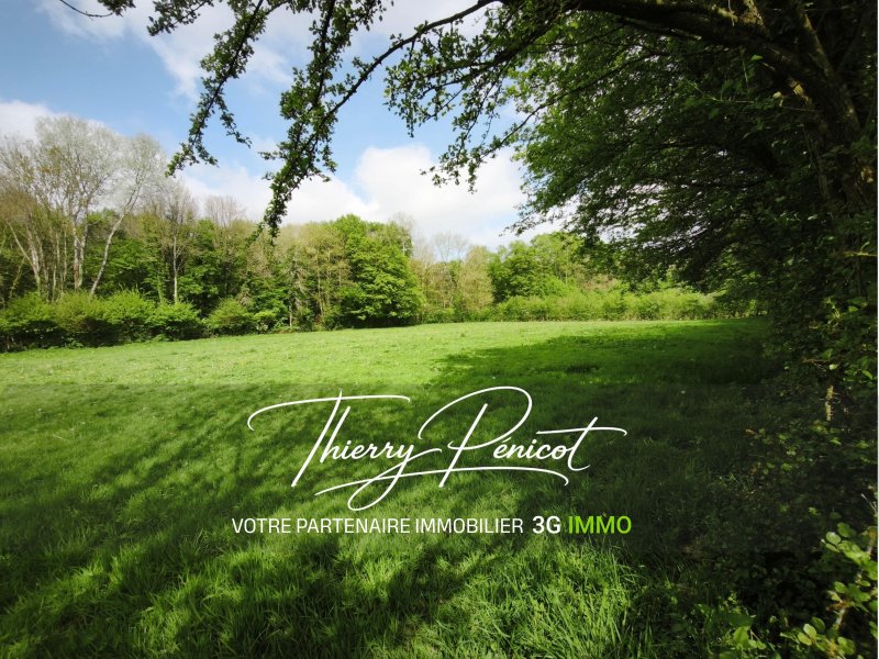 Propriété équestre à Saint-Aubin (59440) - Photo 4