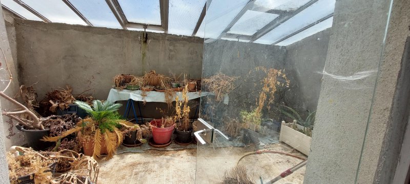Photo mobile 1