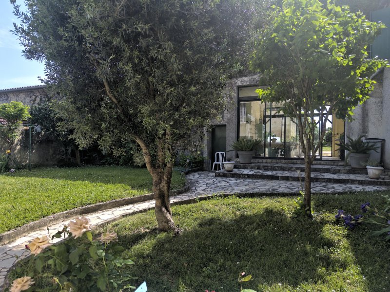 Photo 8