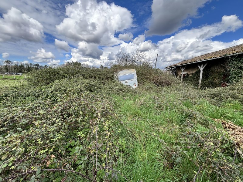 Maison à Mios (33380) - Photo 3