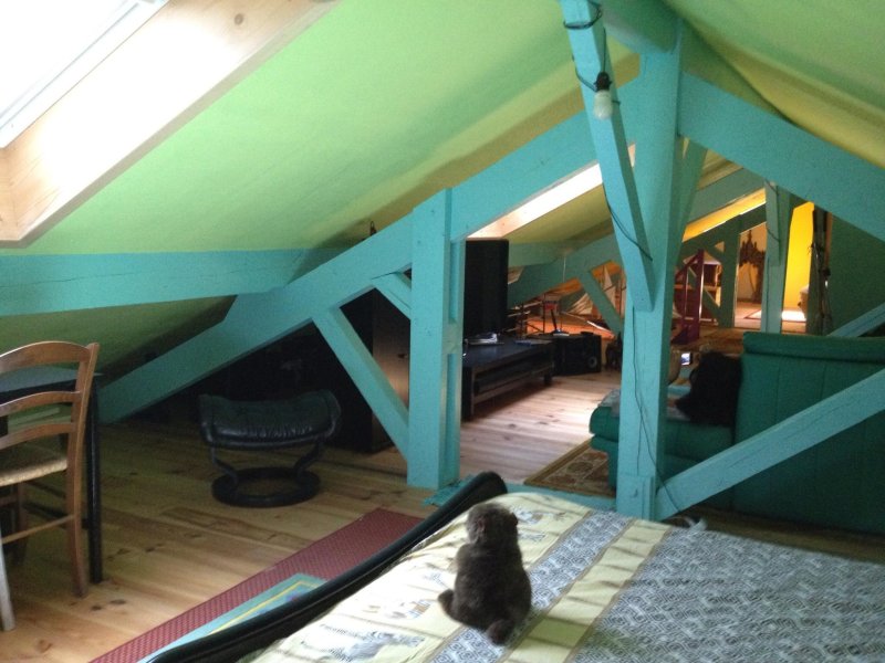 Photo 6